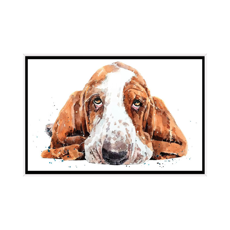 « Basset » par Edwatercolours-impression, Toile blanche encadrée, Pas de tapis, H 26 po x l 40 po x 1,5 po