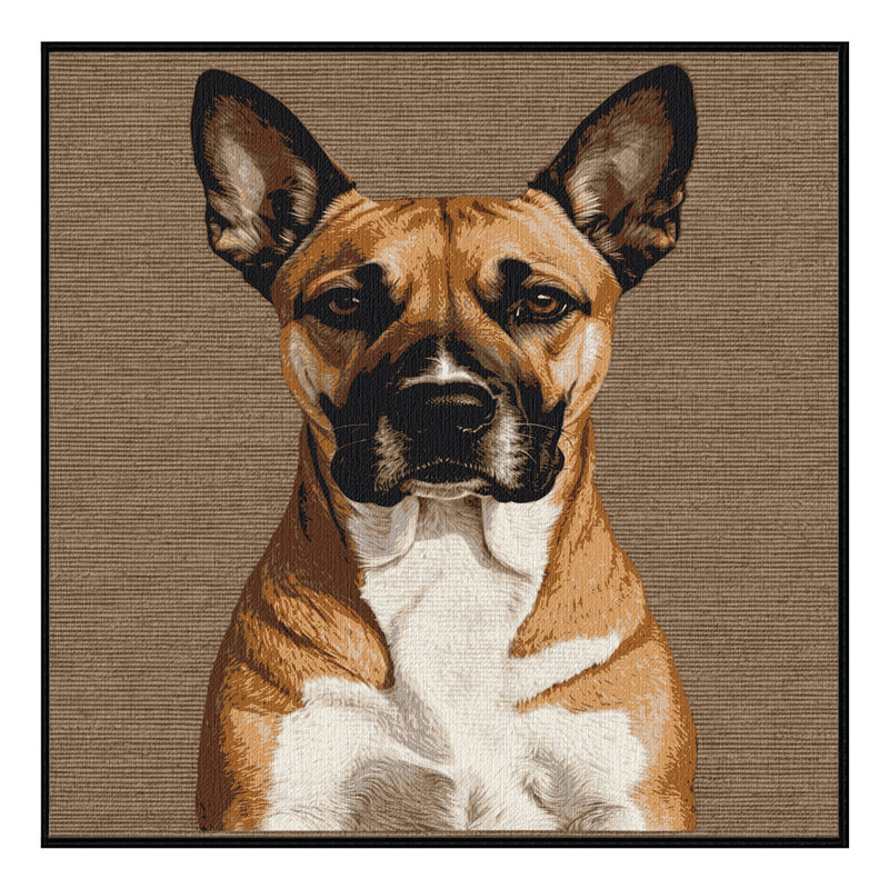  Tapis lavable pour chien Podengo, Carré 8 pi