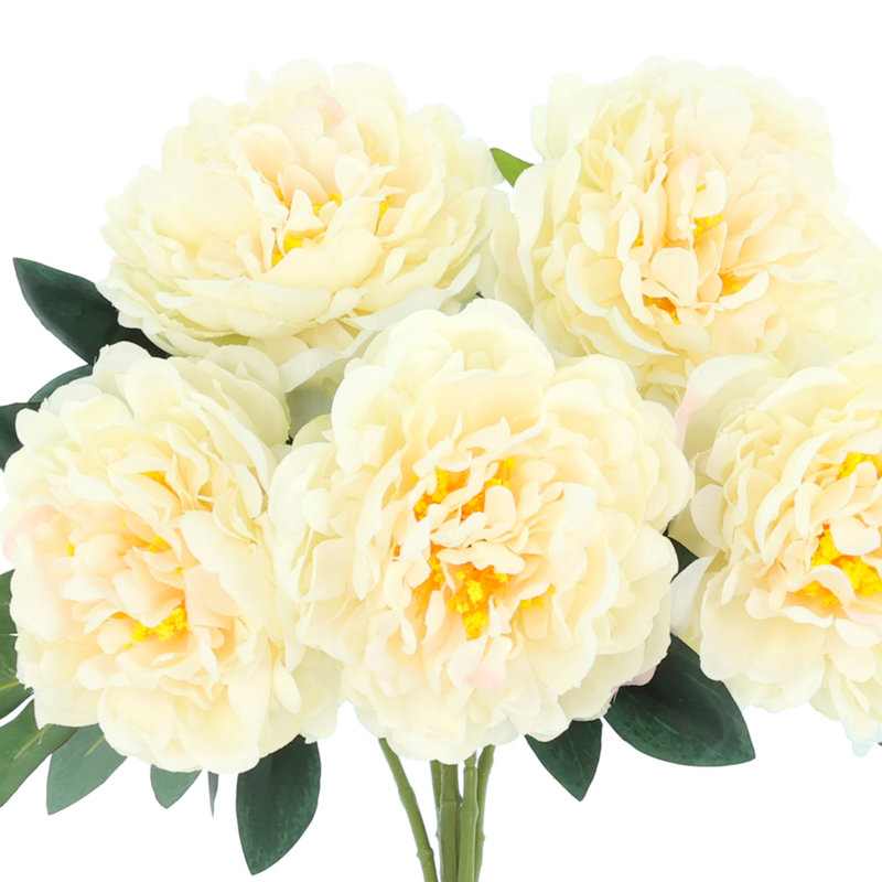 Bouquet de pivoines - ensemble de 6, Crème, crème