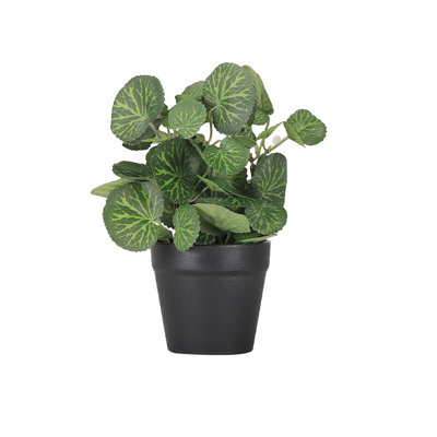 Bouclier en forme de feuille Plante artificielle en pot