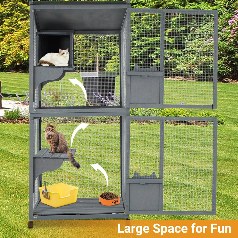 Parc pour chat Agawam
