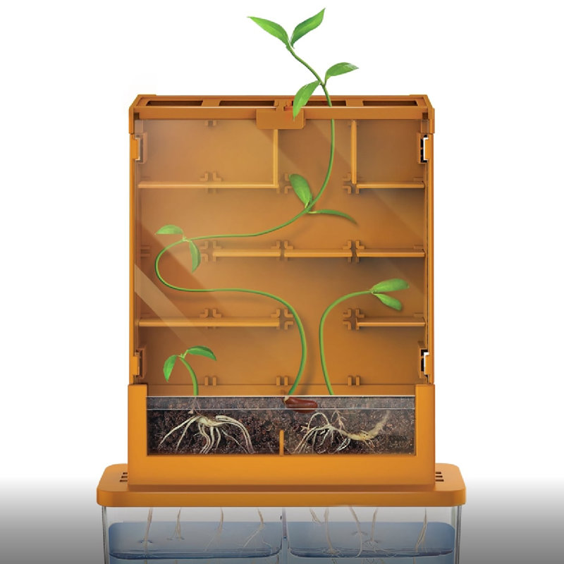 Green Science: Grow-A-Maze