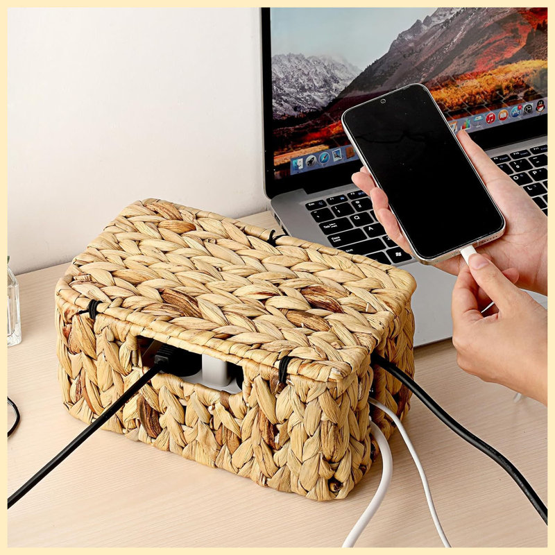 Small Water Hyacinth Woven Cable Management Box with Lid, 2 Open Slots Cord Organizer, Pet Proof Wire Hider for Power Strip & USB Hub