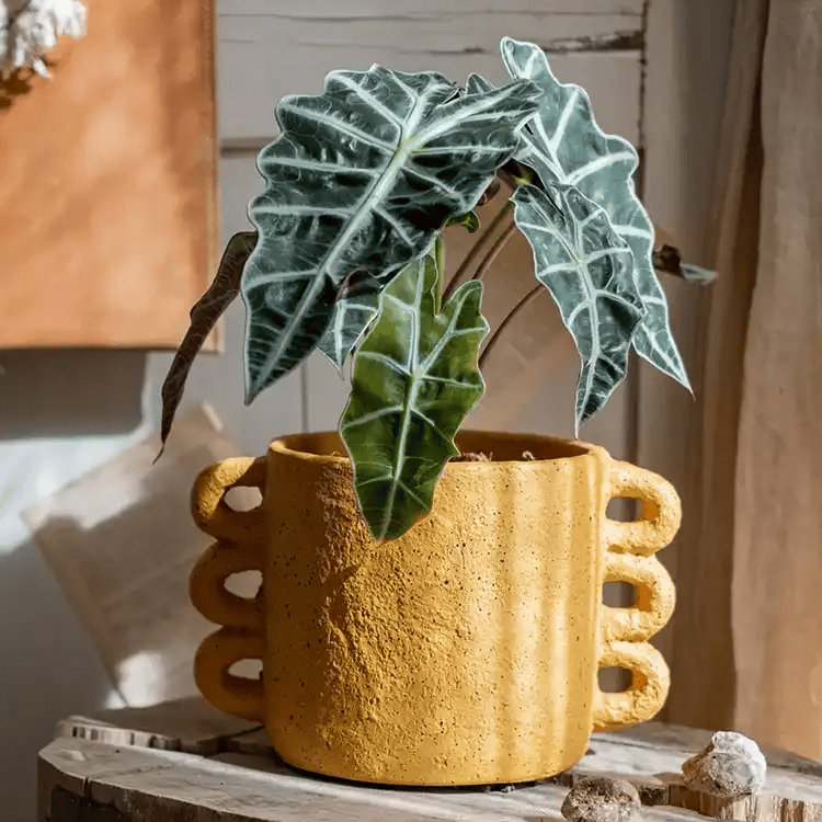 Jardinière en ciment Artisan