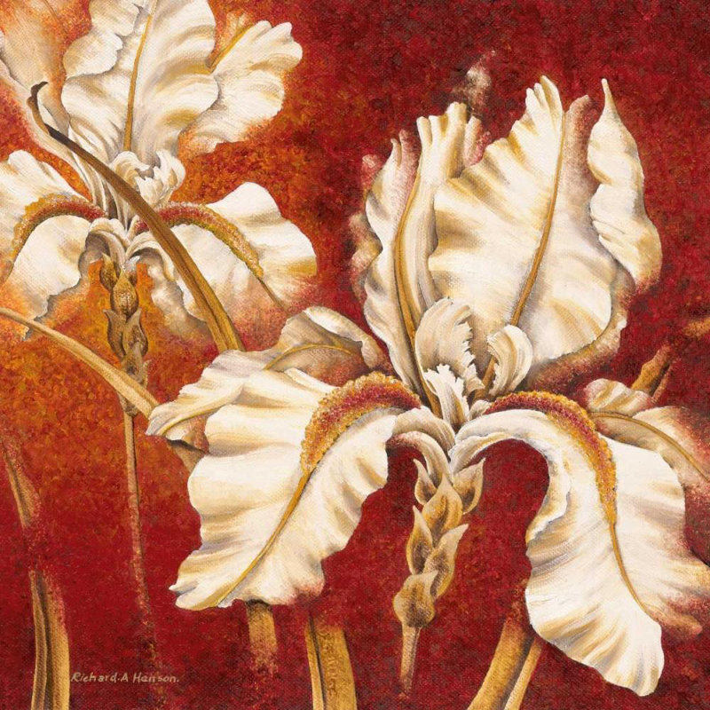«Red Barrel Studio® Henson, Richard», reproduction d'art sur toile tendue: Iris blanc