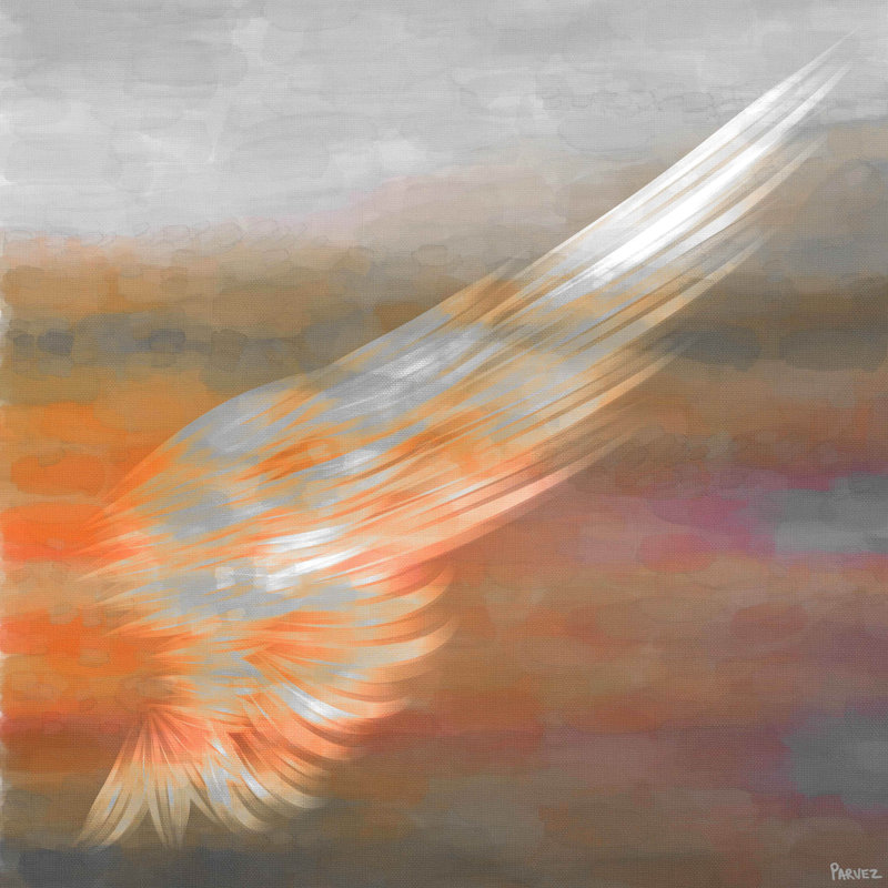Parvez Taj - Wrapped Canvas Print, 101cm H x 101cm W