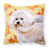 Bichon Frise 2