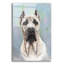 «Cane Corso 2» par Barbara Keith, impression sans cadre-367362529