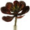 7.5 " H Faux Plant