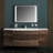 Jaiprakash 26.3'' Single Bathroom Vanity with Acrylic Top with Mirror-1538265223