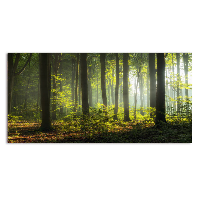 Mystic Morning Forest Sunrise - œuvre d'art sur toile traditionnelle, H 24 po x l 36 po x P 1 po, Toile tendue