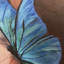 Elena - Wrapped Canvas Painting-2013045960