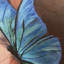 Elena - peinture sur toile tendue-1064256604