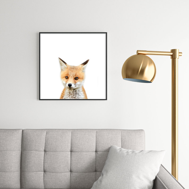 Bébé renard coloré - photographie encadrée sur verre, H 20 po x l 20 po x P 1 po, Noir
