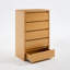 Fere 30" W 5-Drawer Dresser-15018529