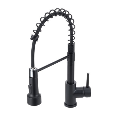 Belfry Kitchen Pull Out Kitchen Faucet