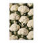 Tapis lavable Ginza-109515895