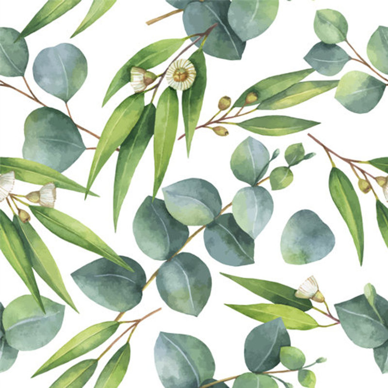 Kingsbridge Matte Wall Mural, 350cm W x 260cm L