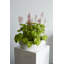 Bol bas Elyse Simply-642677598-642677587