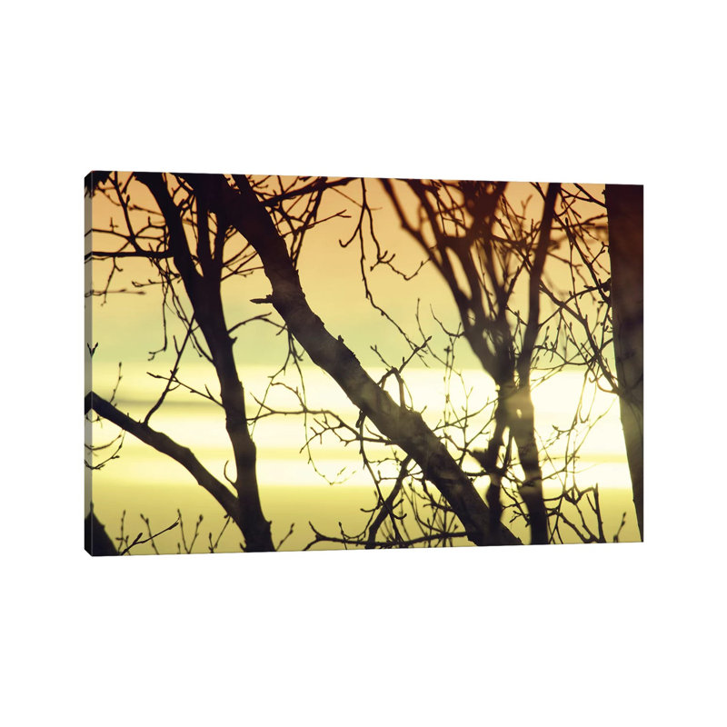 Aspen Sunset I by Savanah Plank - Gallery-Wrapped Canvas Giclée on Canvas, 101.6 cm H x 66.04 cm W x 1.91 cm D, Canvas