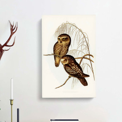 Spotted Owls by Elizabeth Gould - Wrapped Canvas Painting