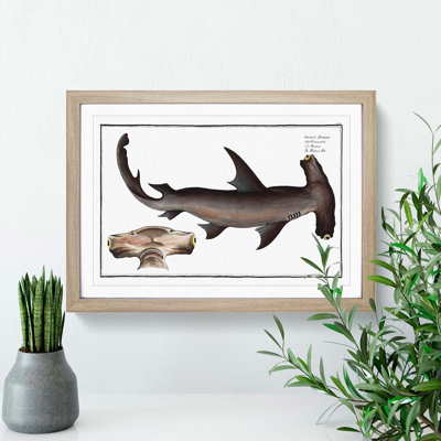 Hammerhead Shark by M.E. Bloch - Picture Frame Painting Print