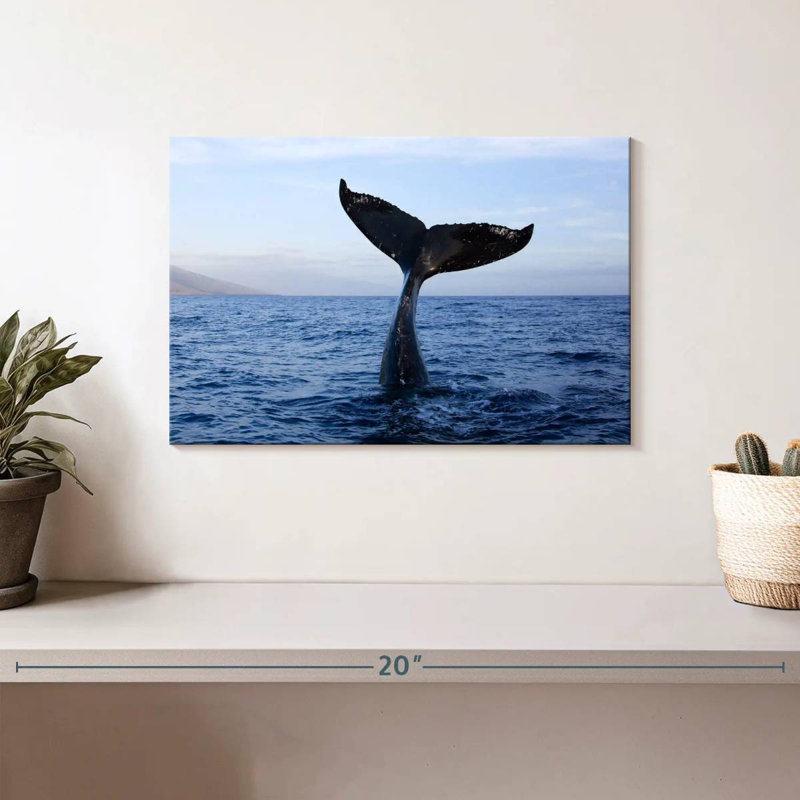 Brampt Whale Watching, 8" H x 12" W