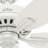 52" Newsome 5 - Blade Outdoor Standard Ceiling Fan with Pull Chain-17305119