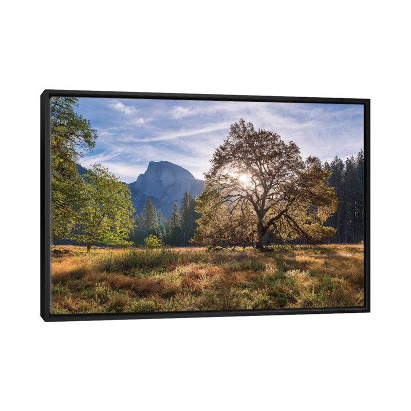 " Cook’s Meadow " by Adam Burton, 18" H x 26" W x 1.5" D, Black Framed Canvas, No Mat