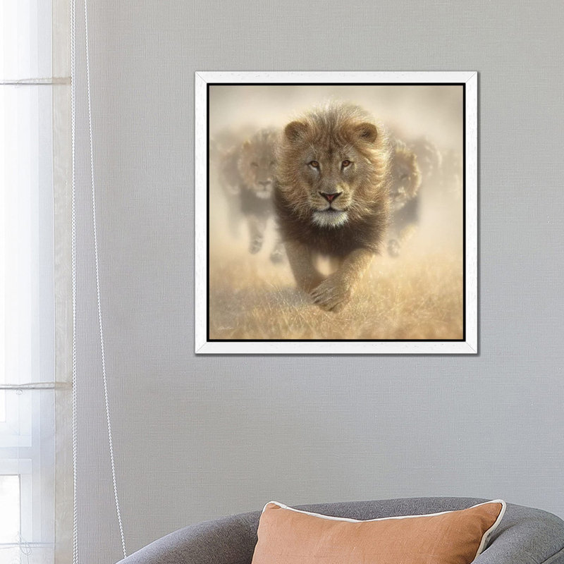 Eat My Dust - Lion, Square by Collin Bogle - Floater Frame Print on Canvas, 93.98 cm H x 93.98 cm W, White