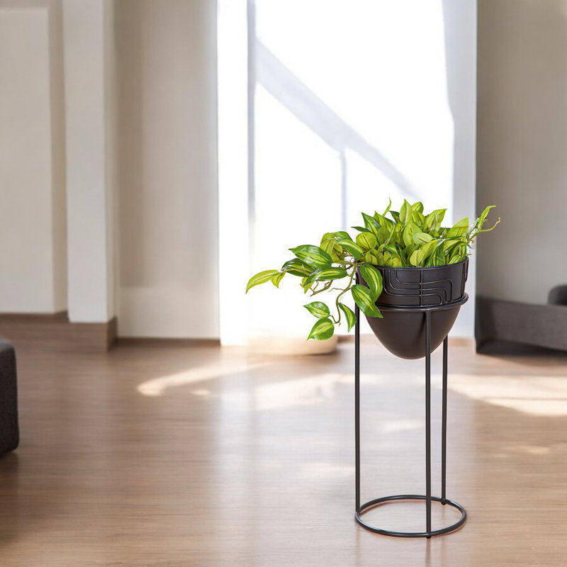 Alfredine Plant Stand, 57cm H x 24cm W x 24cm D