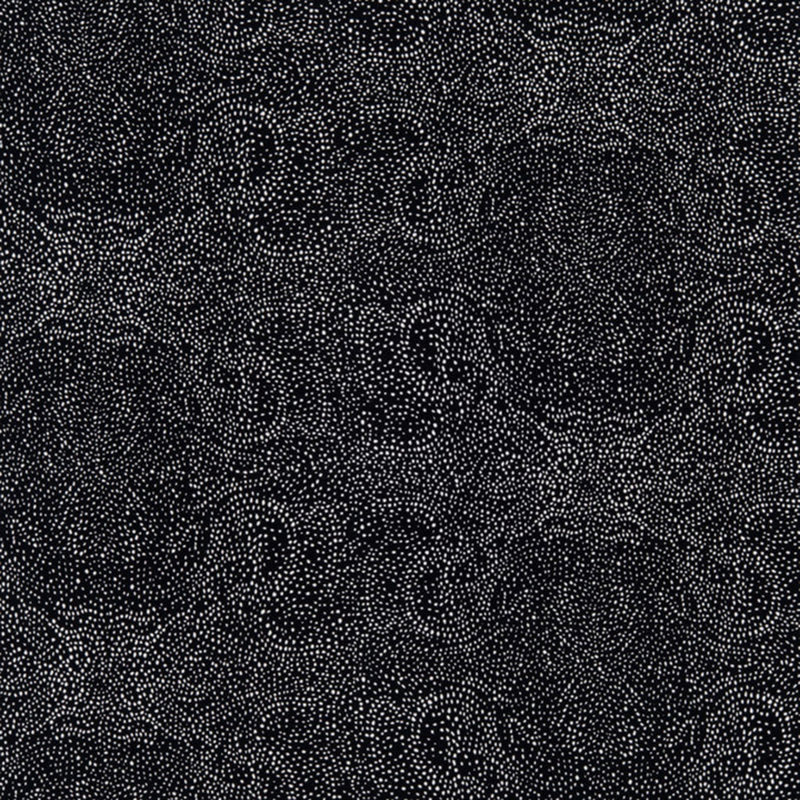 Palizada Pillow Cover & Insert, 24" H x 24" W, Palizada Constellation, Square