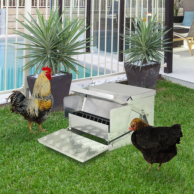 Appareil d'alimentation pour poulets d'une capacité de 30 lb - Acier galvanisé, aluminium, pratique pour les utilisateurs
