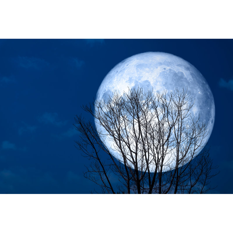 Super Moon Back - Wrapped Canvas Print, 30cm H x 46cm W x 3.8cm D