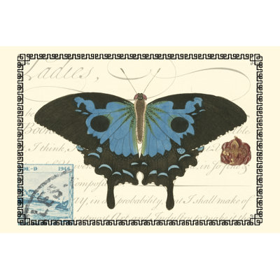 Prose papillon III