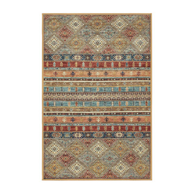 Southwestern Indoor Rug
