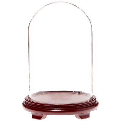 Brighton 9.75" x 15" Glass Display Dome Cloche