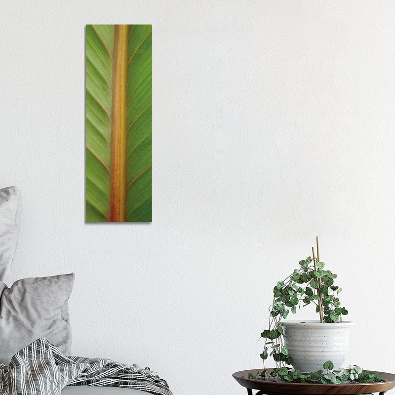 Verdant Trio II by Boyce Watt - Wrapped Canvas Panoramic Print, 30.48 cm H x 91.44 cm W x 1.91 cm D