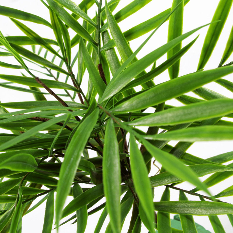 Andwele Arrangement