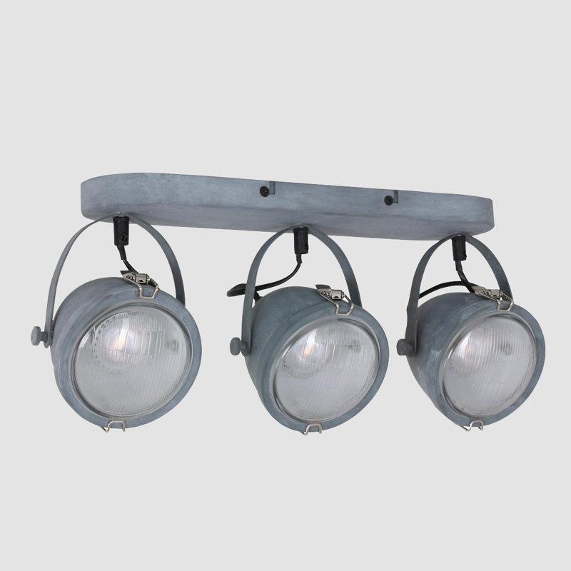 Roark Ceiling Spotlight