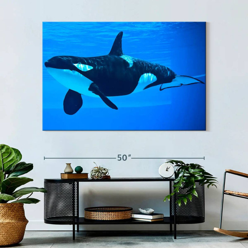 Brampt Friendly Killer Whale, 34" H x 51" W