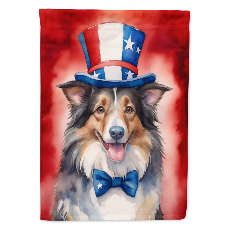 Drapeau patriotique du jardin américain, Colley
