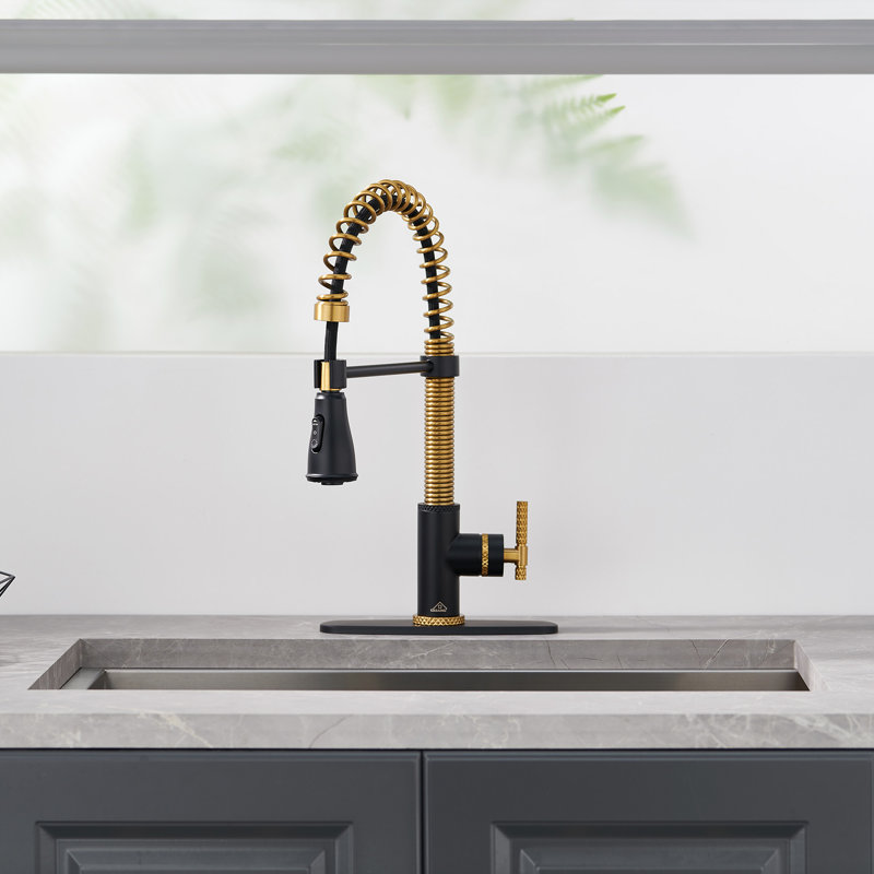 Robinet de cuisine à poignée simple Bolden Casainc 1,8 GPM Britt, Noir mat / or brossé