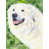 Great Pyrenees