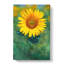 The Sunflower - Wrapped Canvas-56658671