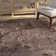 Adney Abstract Indoor Rug