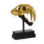 Tooth Tiger Skull-42650008