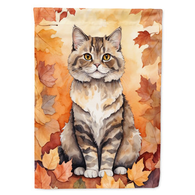Chat en feuilles d'automne