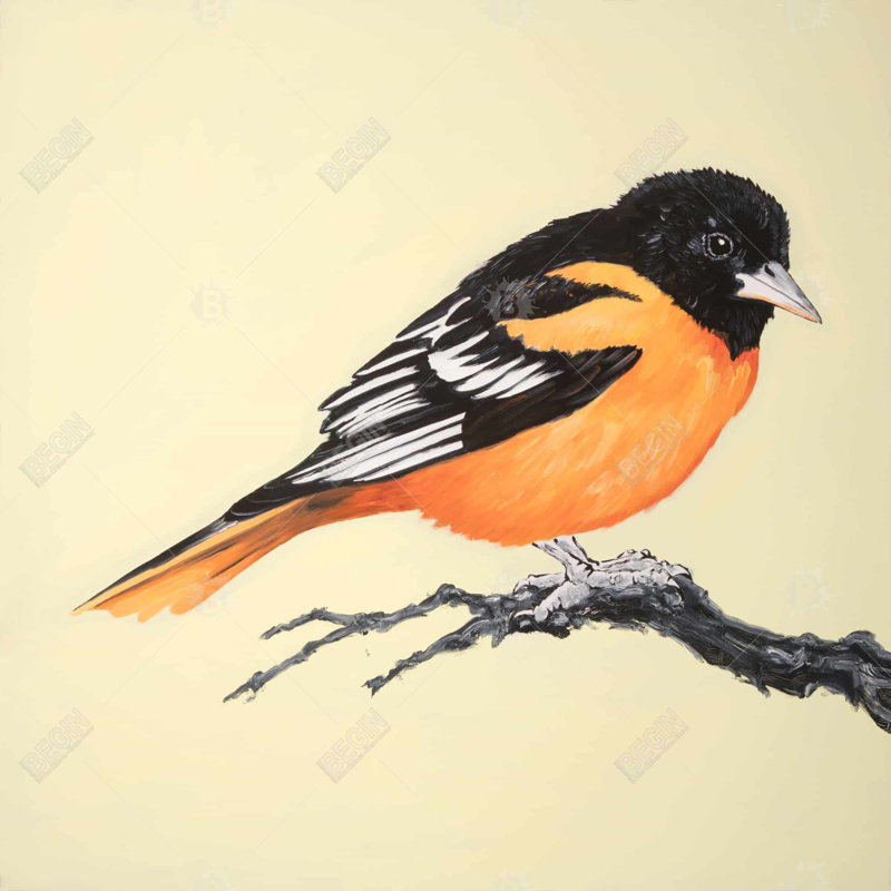 "Petit oiseau réaliste sur une branche"