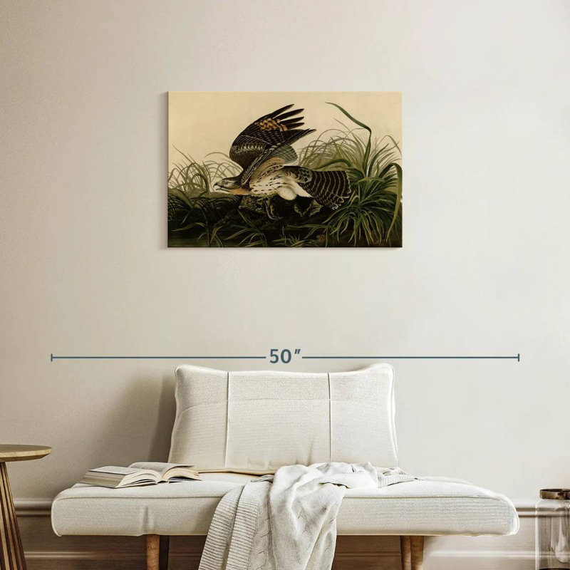 Brampt Winter Hawk, 20" H x 30" W